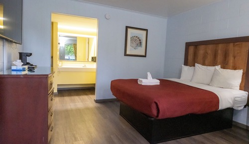 Standard Single Room, 1 Queen Bed, Non Smoking, Refrigerator & Microwave