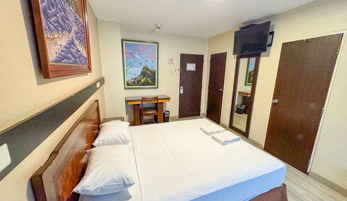 Comfort Single Room