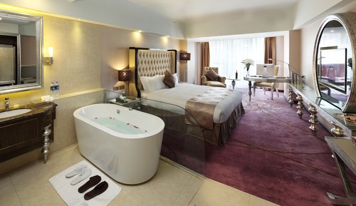 Deluxe Twin Room (European-style)