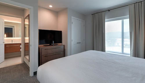Studio, 1 King Bed with Sofa bed, Mountain View