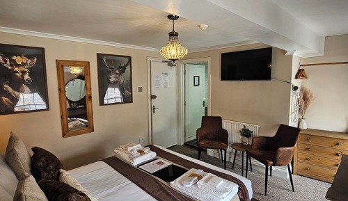 Double Room (Deers Forest)