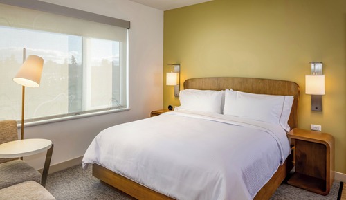 Standard Room, 1 King Bed, Non Smoking (Hearing Accessible)