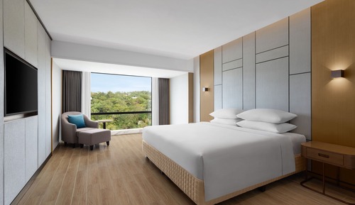 Premier Suite, 1 King Bed (View)