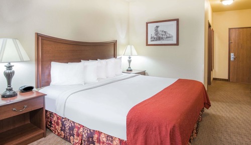 Room, 1 King Bed, Accessible, Non Smoking (Mobility,tub w grab bars)