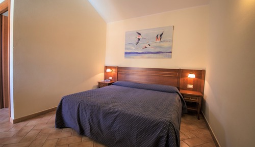 Basic Double Room