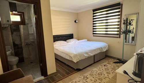 Classic Double Room Single Use, Mountain View