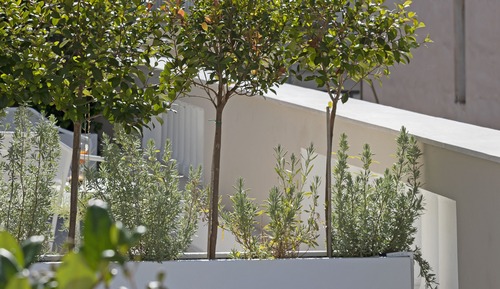 Premium Room, Rooftop, Partial Acropolis View