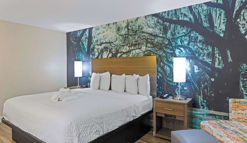 Room, 1 King Bed, Non Smoking
