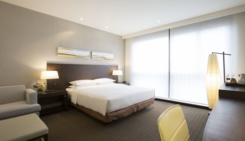 Room, 1 King Bed