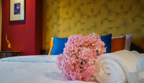 Superior Queen Room