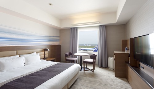 Deluxe Double Room Runway View, Non Smoking