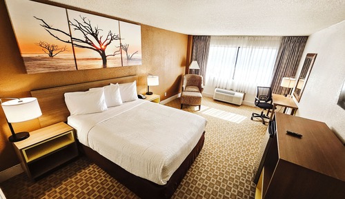 Room, 1 King Bed, Non Smoking