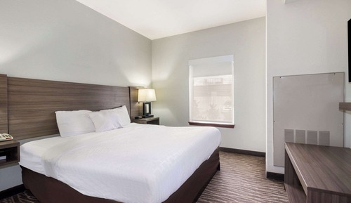 Suite, 1 King Bed with Sofa bed, Non Smoking