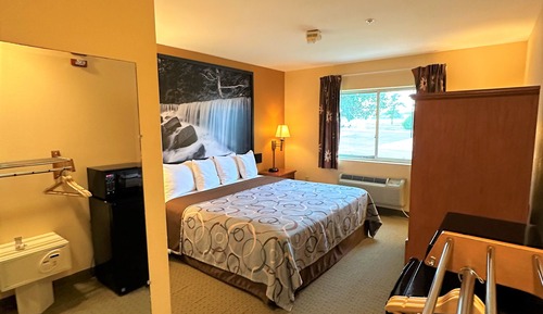 Standard Room, 1 King Bed, Accessible