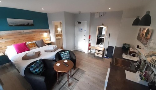 Studio, 1 King Bed