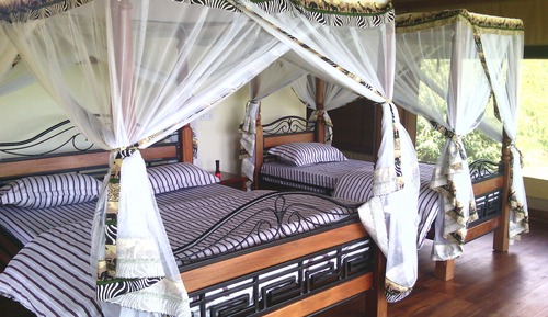 Standard Tent, 1 Double Bed