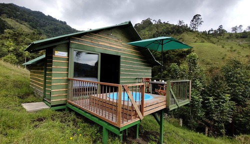 Deluxe Cabin, 1 King Bed, Private Pool, Mountain View