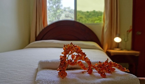 Business Double Room