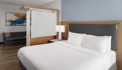 Executive Suite, 1 King Bed with Sofa bed