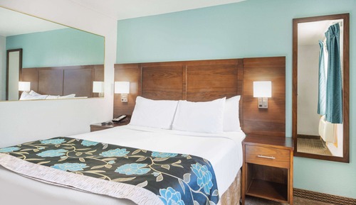 Room, 1 Queen Bed, Non Smoking, Pool View