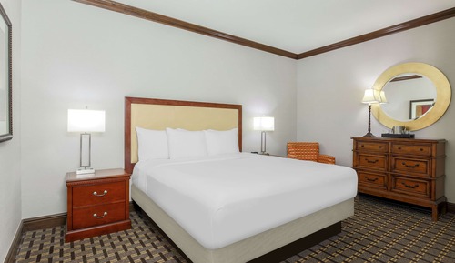 King Suite, Junior Suite, 1 King Bed