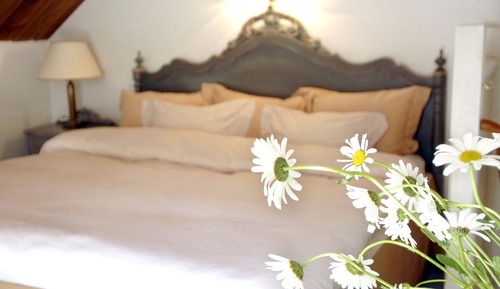 Family Room, 1 Queen Bed with Sofa bed