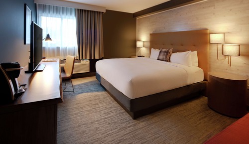 Room, 1 King Bed, Accessible, Non Smoking (w/ roll-in shower)