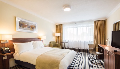 Standard Room, 1 Queen Bed (Walk-in Shower)