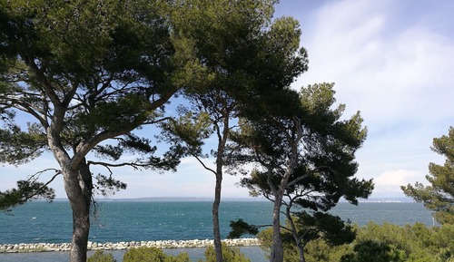 Suite, Canal View (La Cigalière)