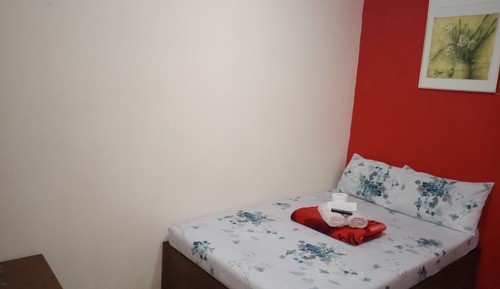 Basic Double Room