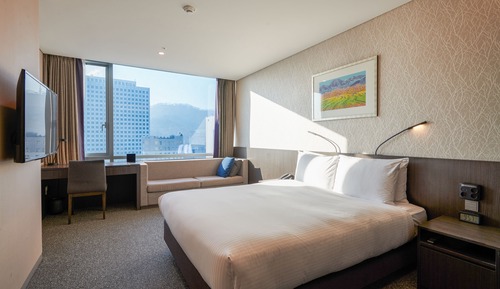 Standard Double Room (Bigger than most in Seoul)