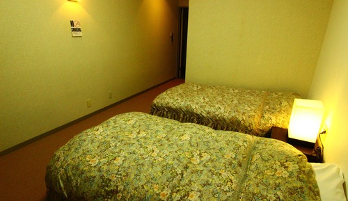 Deluxe Twin Room, Private Bathroom