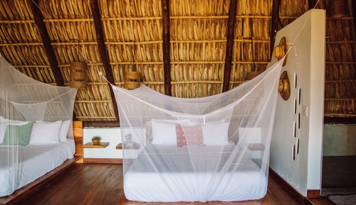 Deluxe Double or Twin Room, Balcony, Garden View