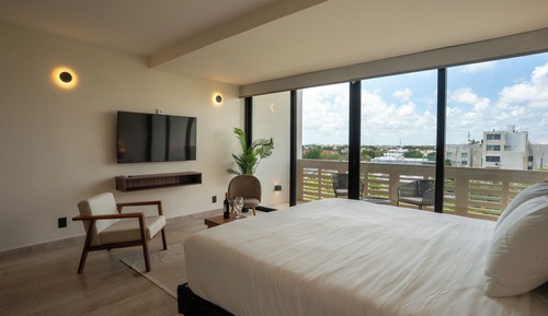 Business Studio Suite, 1 King Bed, Balcony, Park View