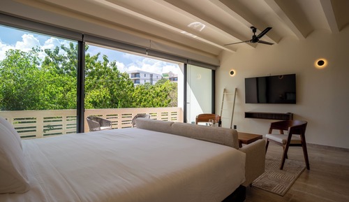 Business Studio Suite, Balcony, Park View