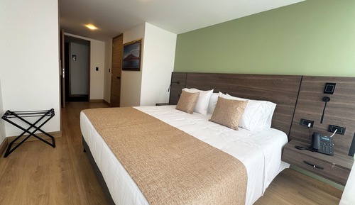 Standard Double Room, 1 King Bed