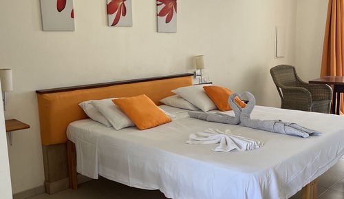 Superior Studio Suite, 1 King Bed, Terrace, Partial Ocean View