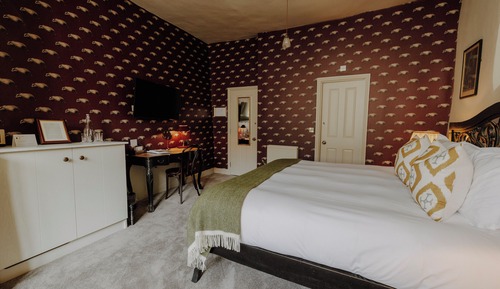 Superior Room, 1 Queen Bed, Non Smoking