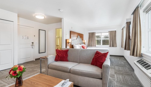 Standard Room, 1 King Bed, Non Smoking, Refrigerator & Microwave (with Sofabed)