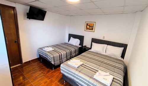 Triple Room, City View