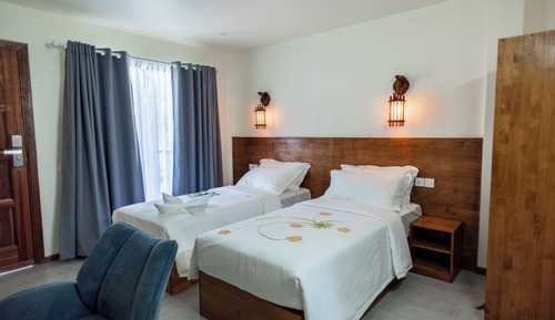 Deluxe Double or Twin Room, City View