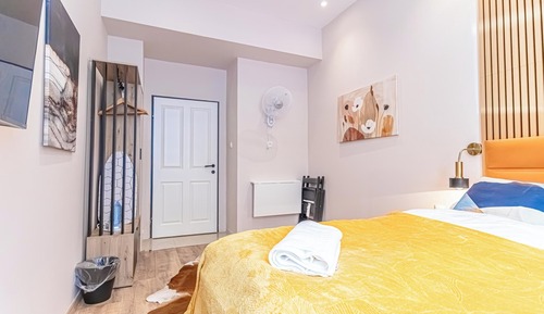 Basic Room, 1 King Bed, Non Smoking, City View