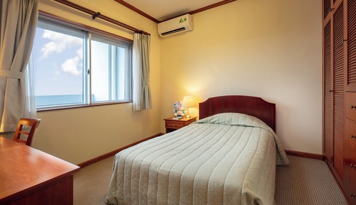 Deluxe Apartment, 2 Bedrooms, Balcony, City View