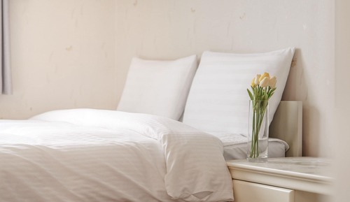 Basic Room, 1 Bedroom (room 203)