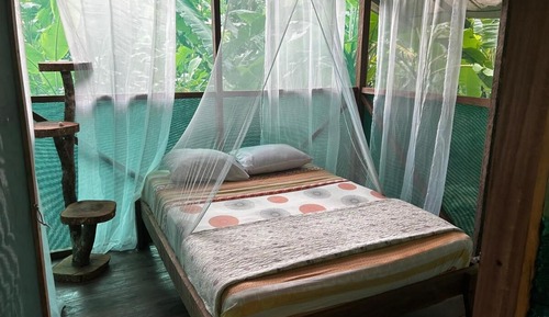 Room, Garden View