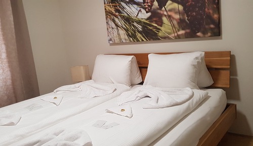Business Apartment, 3 Bedrooms