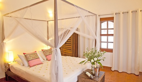 Double Room (Adult Only)