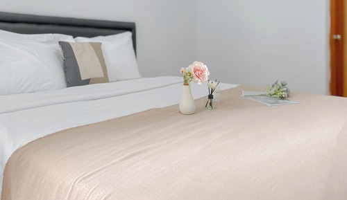 Deluxe Apartment (queenbed)