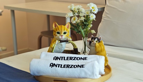 Classic Apartment, 3 Bedrooms, Pool View