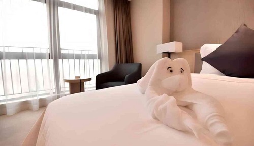 Luxury Single Room